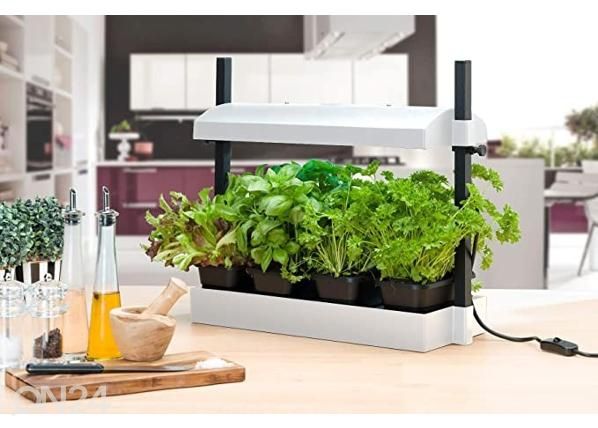 Esikasvatuslaatikko valaistuksella Micro Grow Light Garden 11 W, valkoinen