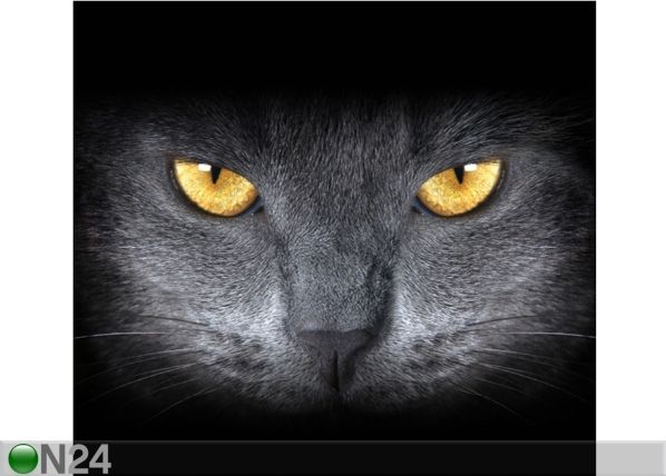 Fotoverho BLACK CAT 280x245 cm