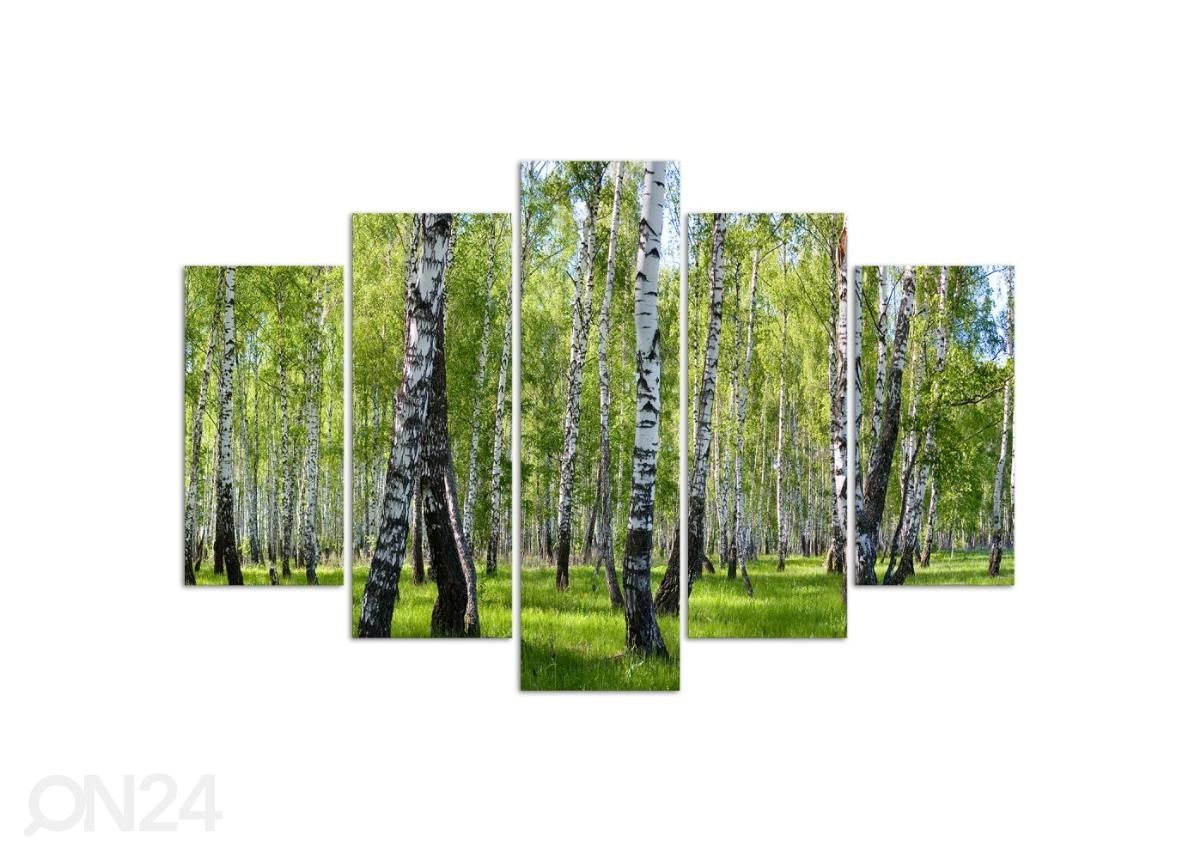 5-osainen sisustustaulu Birch trees 200x100 cm kuvasuurennos