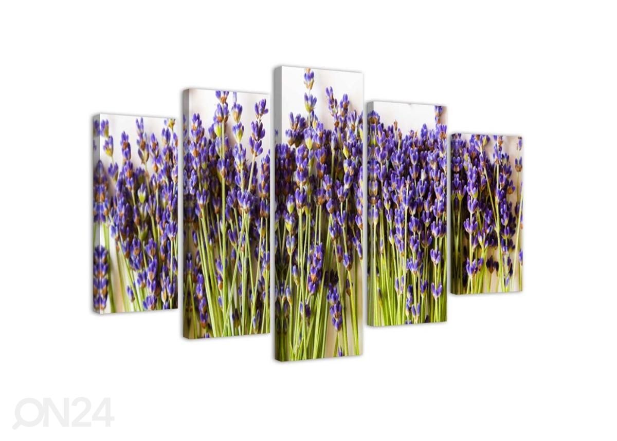 5-osainen sisustustaulu Lavender 100x70 cm kuvasuurennos