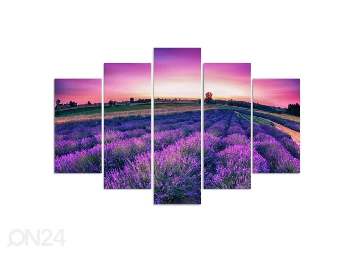 5-osainen sisustustaulu Lavender Field 100x70 cm kuvasuurennos