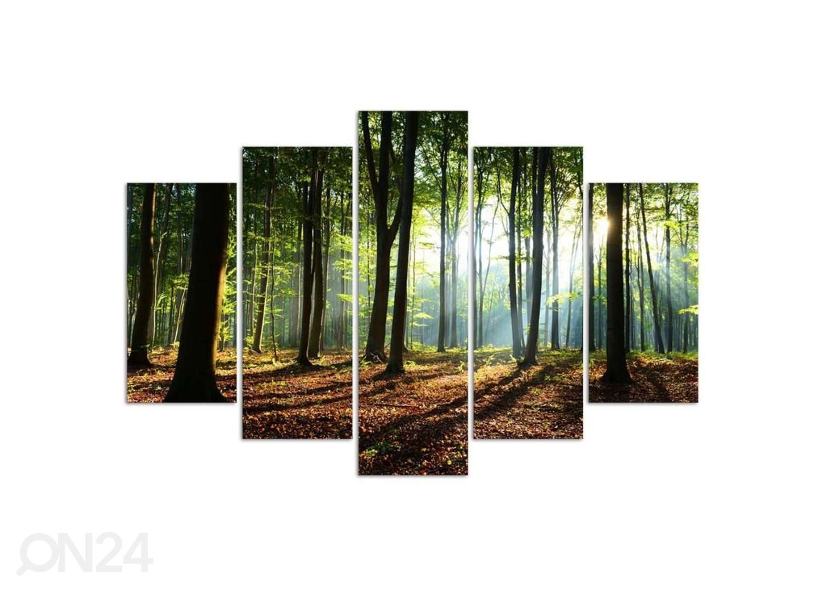 5-osainen sisustustaulu Rays of the sun in the forest 150x100 cm kuvasuurennos