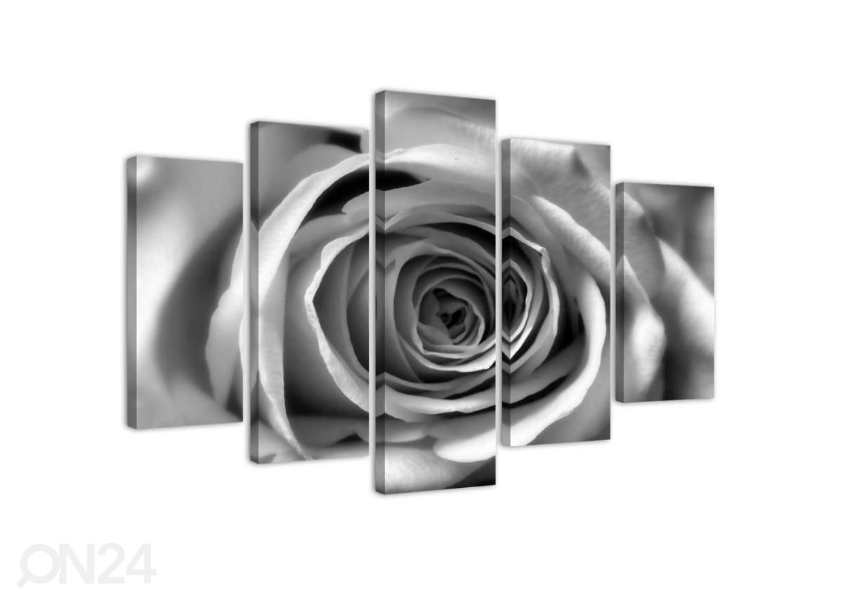 5-osainen sisustustaulu Rose Flower 100x70 cm kuvasuurennos