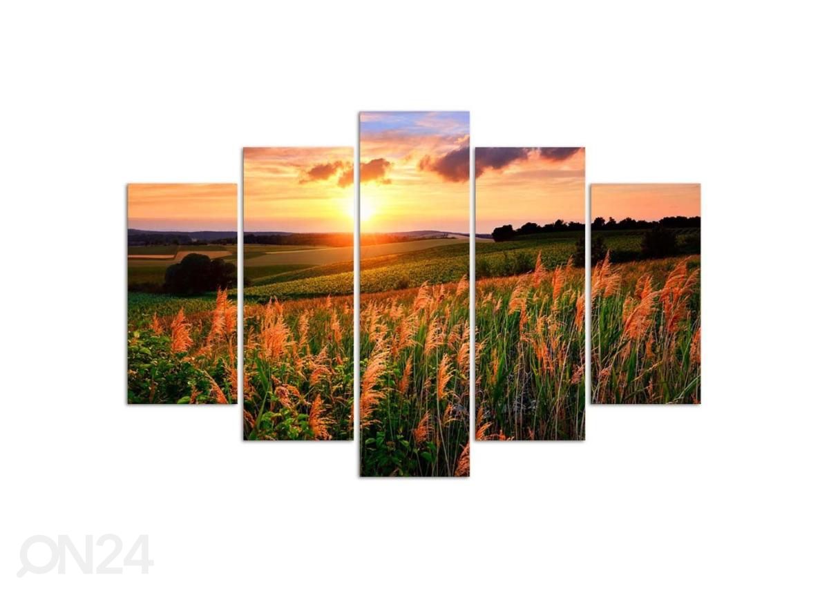 5-osainen sisustustaulu Sunset Over the Meadow 150x100 cm kuvasuurennos