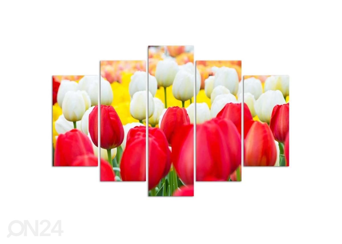 5-osainen sisustustaulu White and Red Tulips 100x70 cm kuvasuurennos