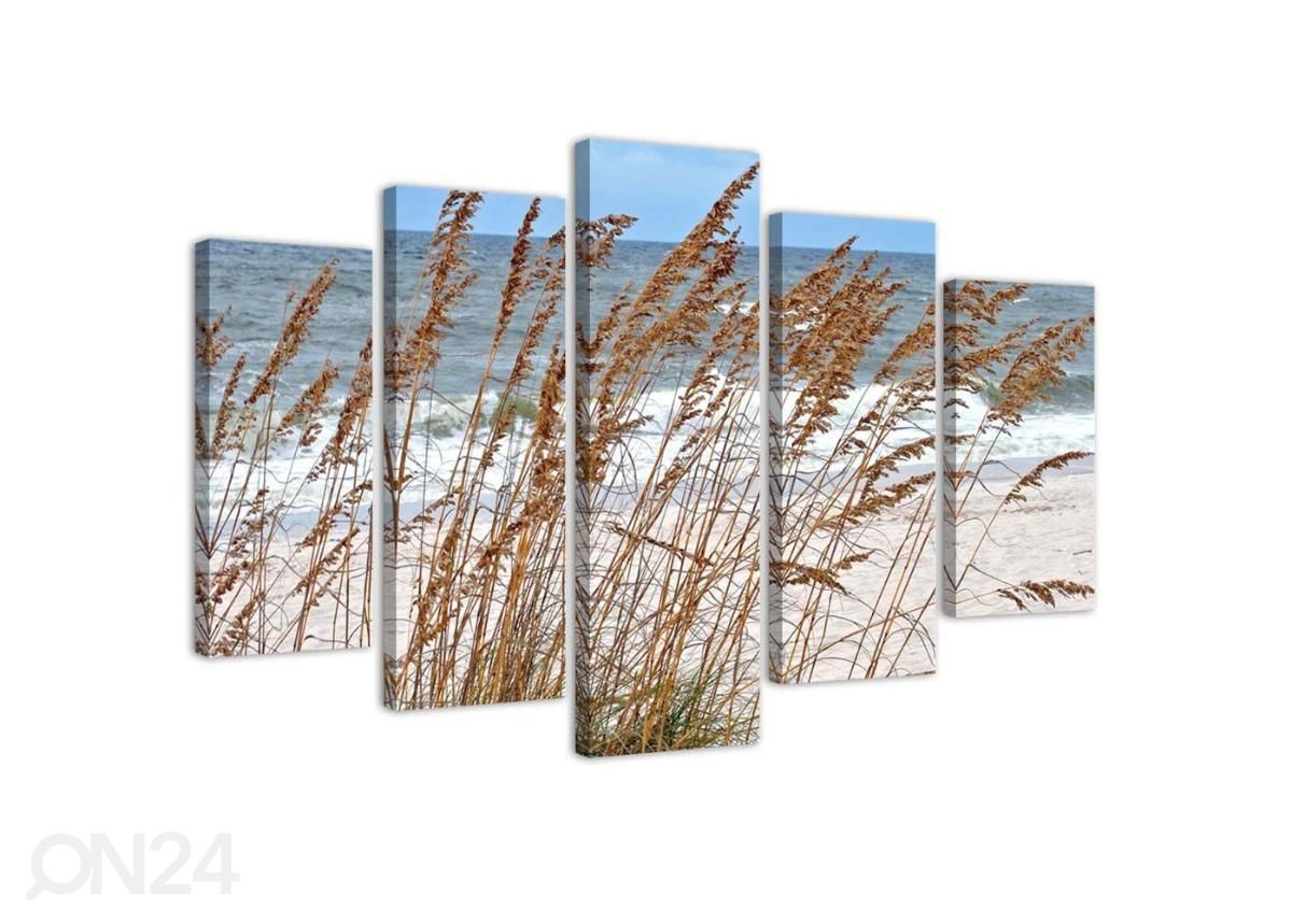 5-osainen taulu Reeds by the Sea 100x70 cm kuvasuurennos