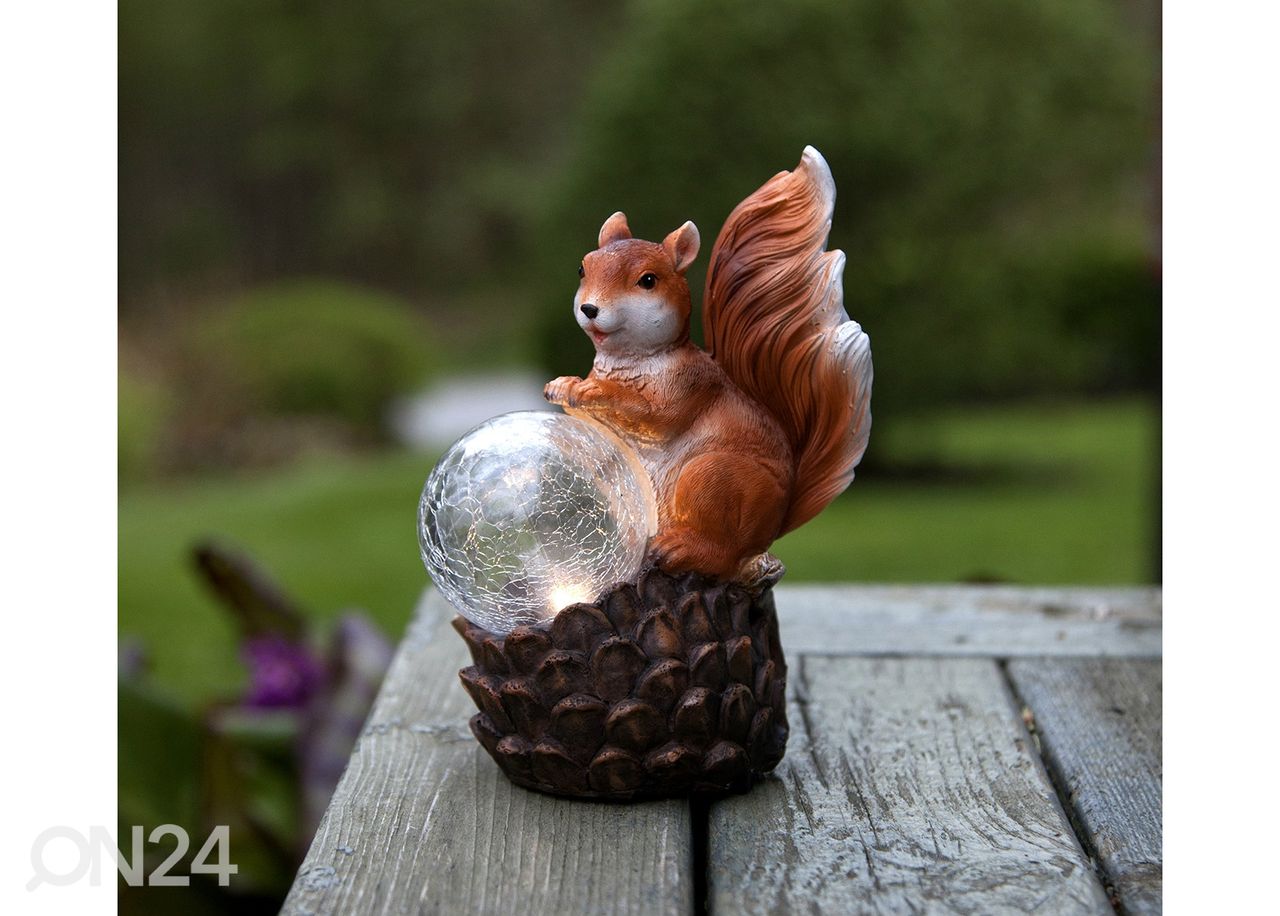 Aurinkokennovalaisin Squirrel kuvasuurennos