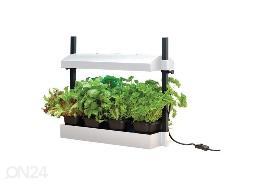 Esikasvatuslaatikko valaistuksella Micro Grow Light Garden 11 W, valkoinen kuvasuurennos