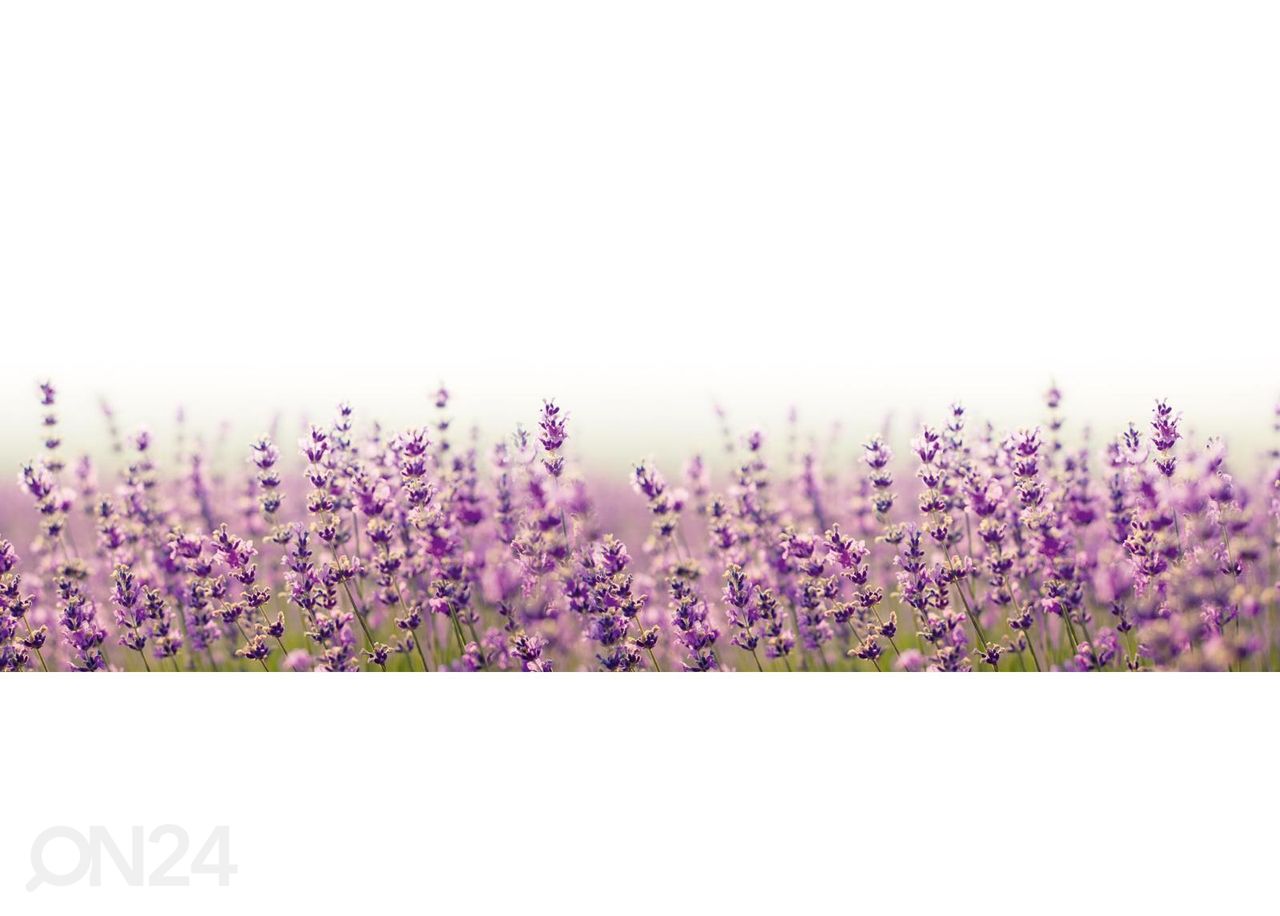 Keittiön välitilan tapetti Fabulous lavender 180x60 cm kuvasuurennos