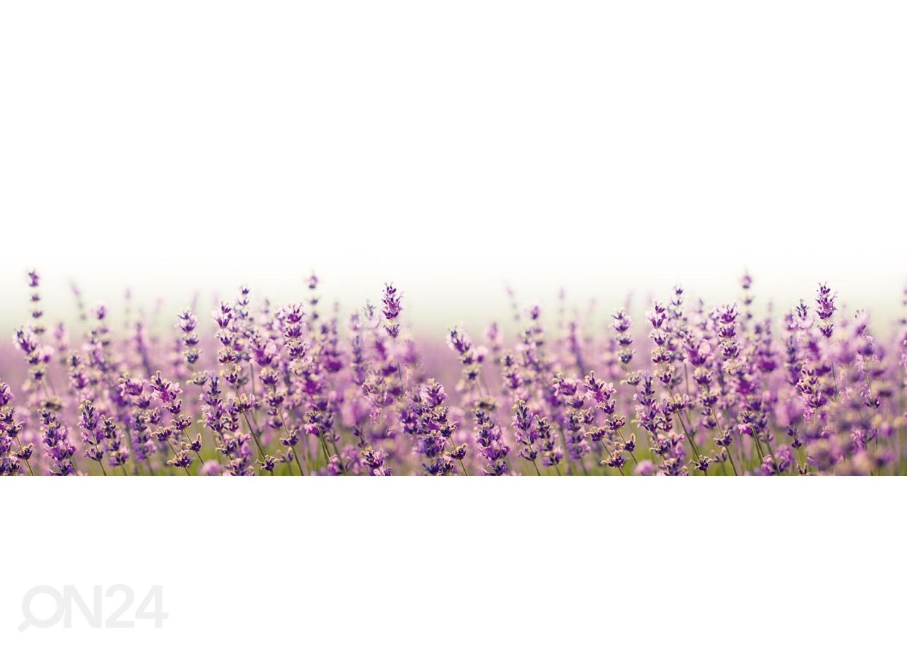 Keittiön välitilan tapetti Fabulous lavender 260x60 cm kuvasuurennos