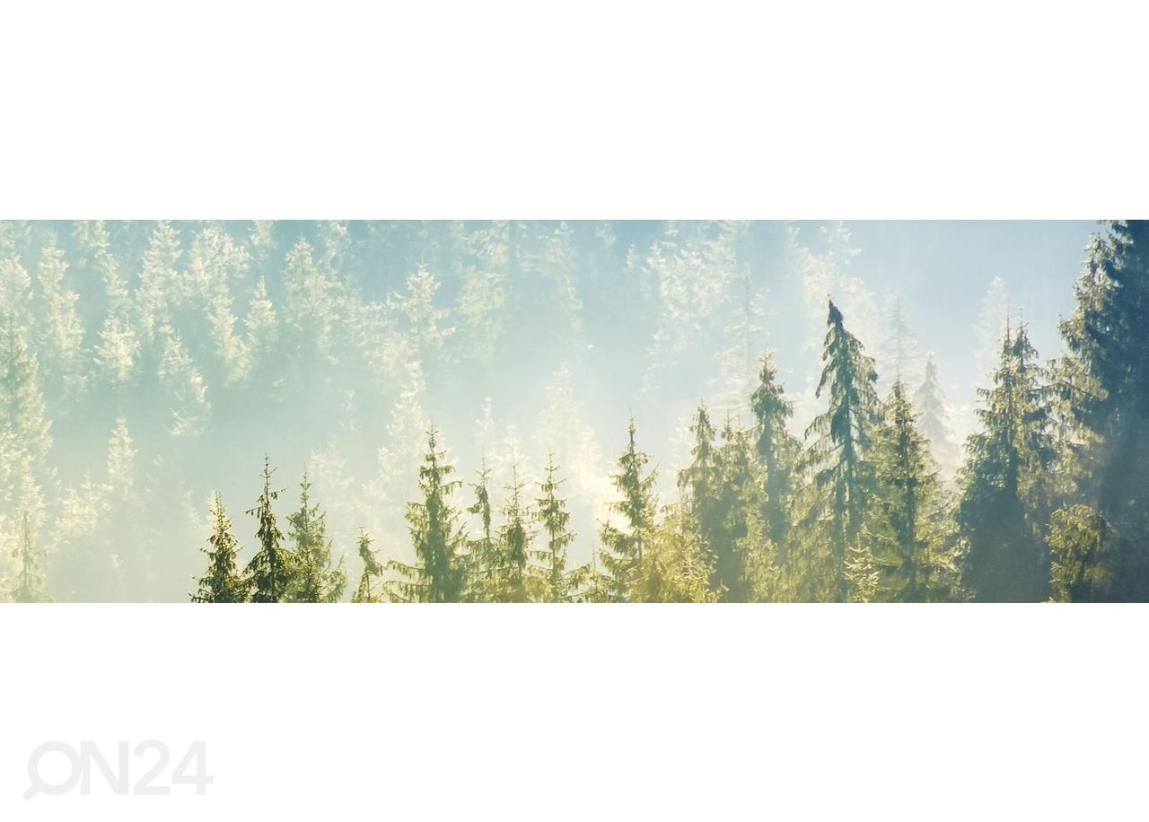 Keittiön välitilan tapetti Fog above forest 350x60 cm kuvasuurennos