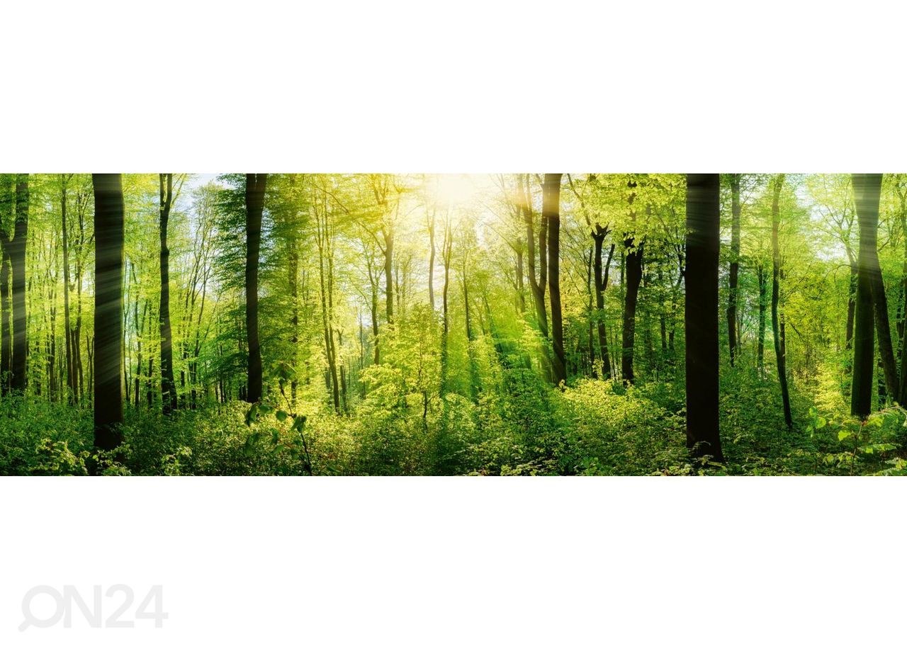 Keittiön välitilan tapetti Fresh green trees 180x60 cm kuvasuurennos