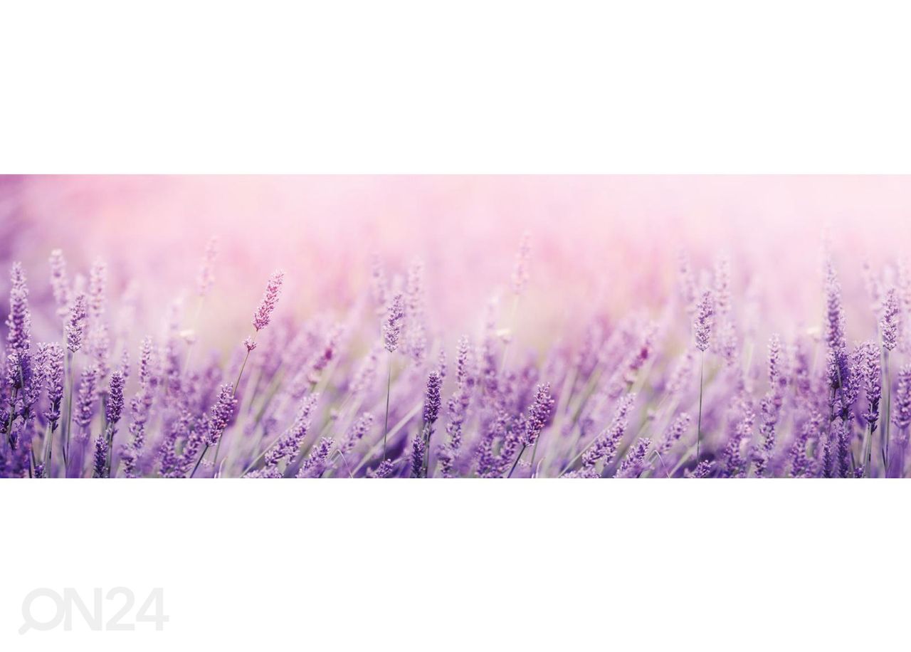 Keittiön välitilan tapetti Lavender 180x60 cm kuvasuurennos