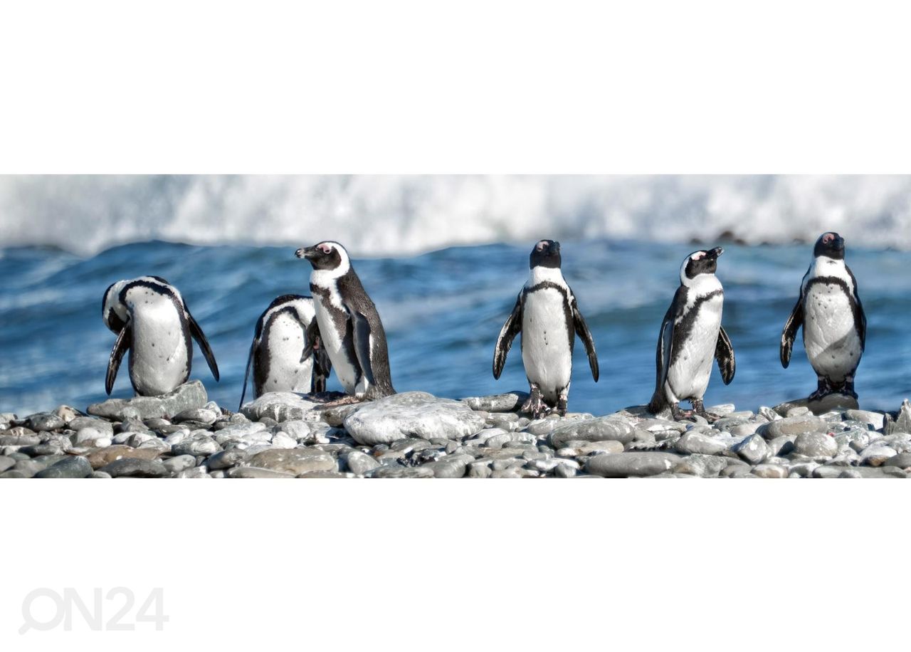 Keittiön välitilan tapetti Row of penguins 180x60 cm kuvasuurennos