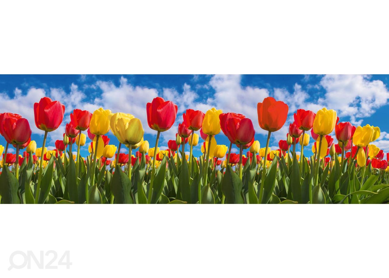 Keittiön välitilan tapetti Spring tulip field 180x60 cm kuvasuurennos