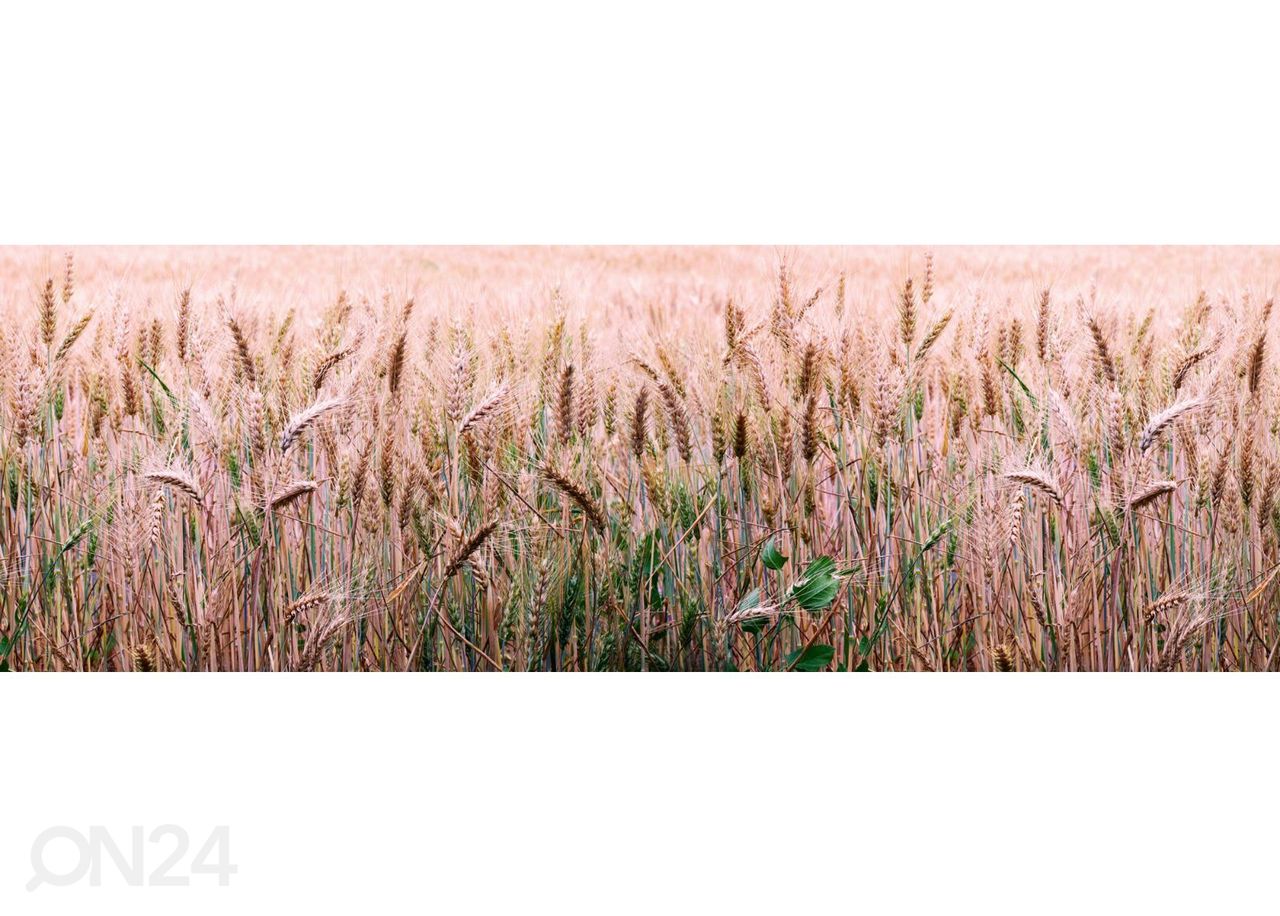 Keittiön välitilan tapetti Wheat field 180x60 cm kuvasuurennos