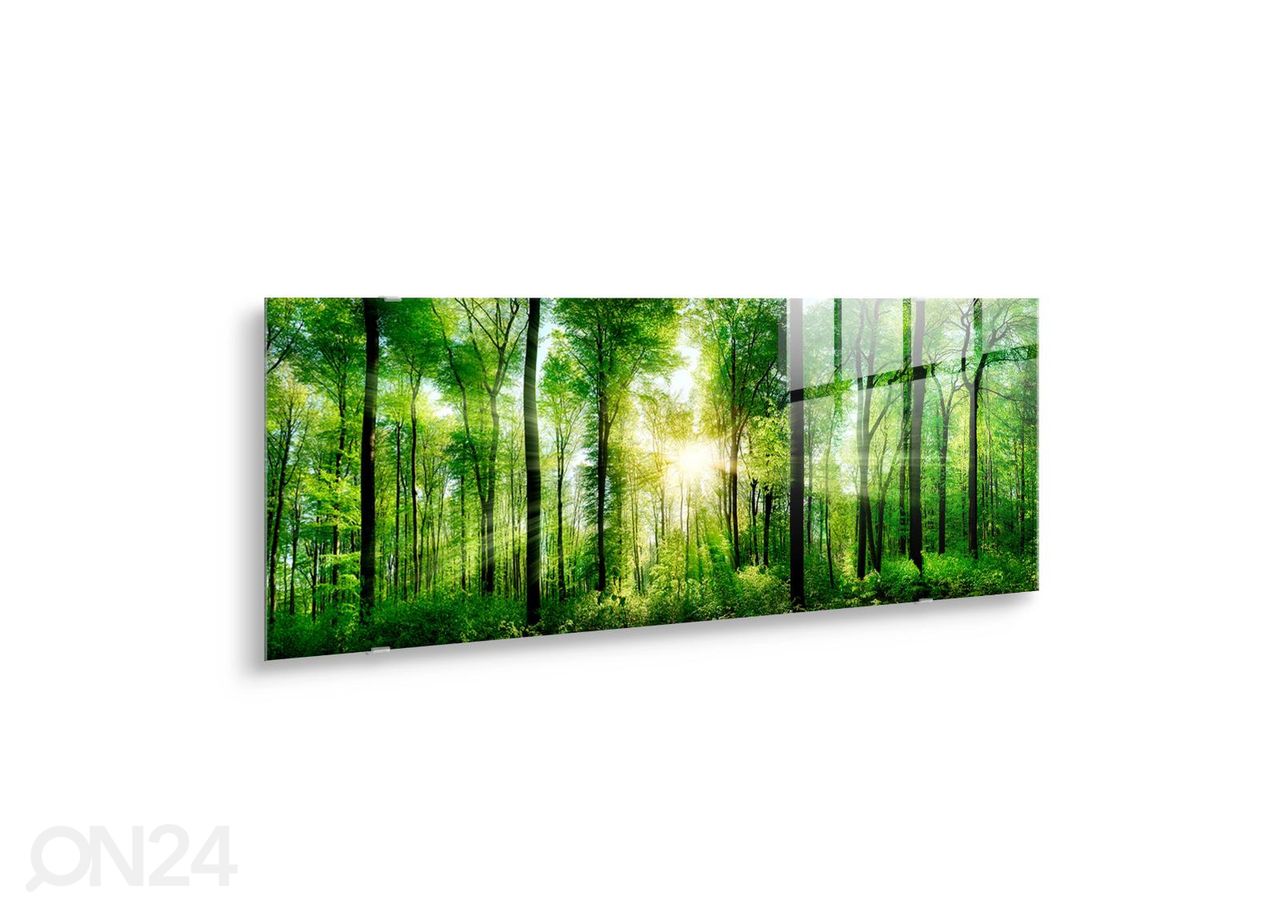 Lasikuva Forest 125x50 cm kuvasuurennos