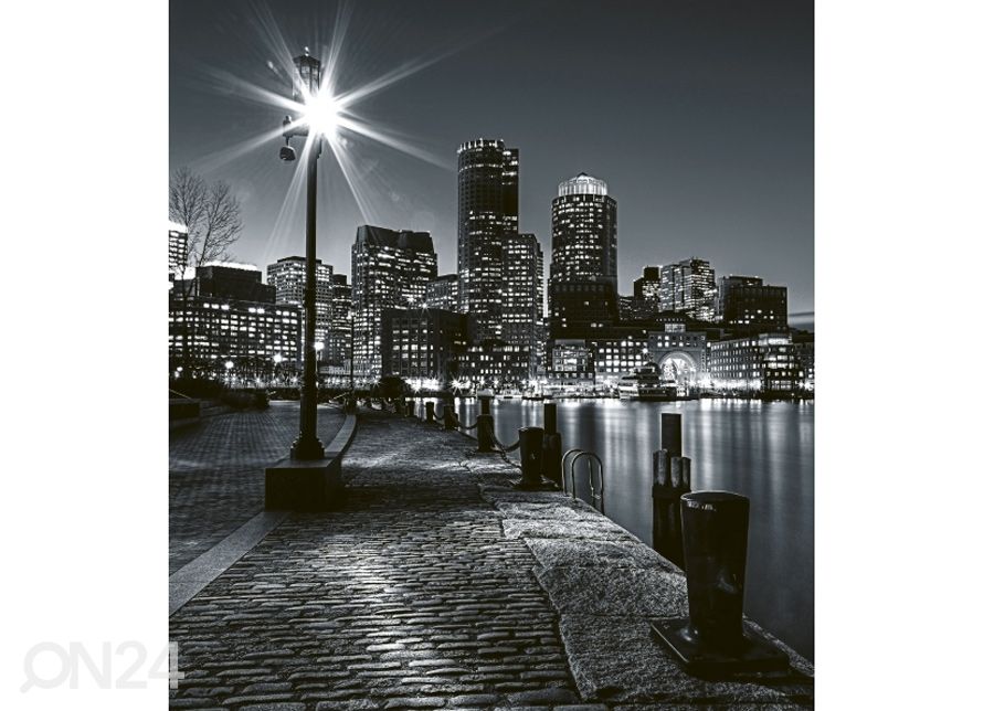 Non-woven kuvatapetti Boston 150x250 cm kuvasuurennos