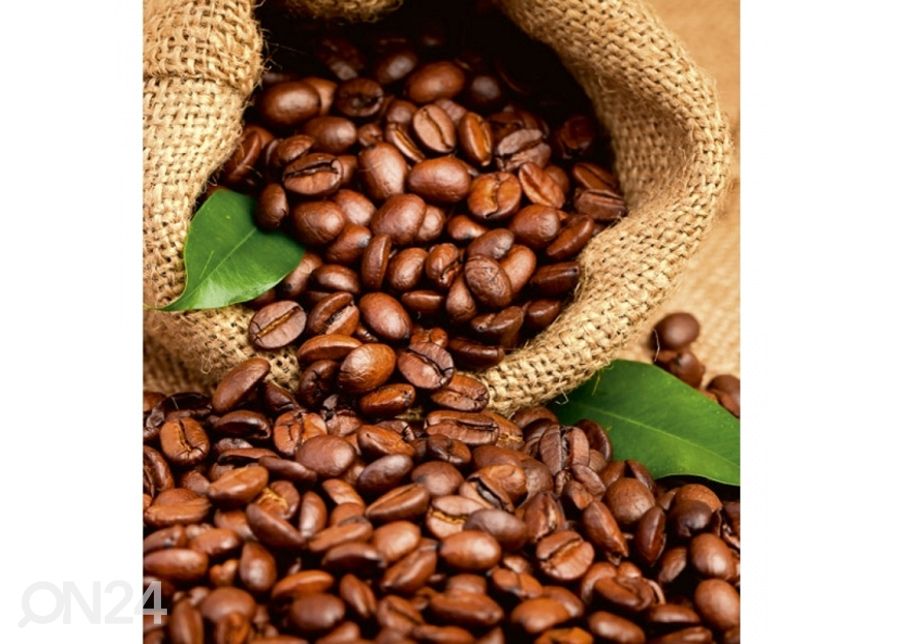 Non-woven kuvatapetti Coffee beans 375x250 cm kuvasuurennos