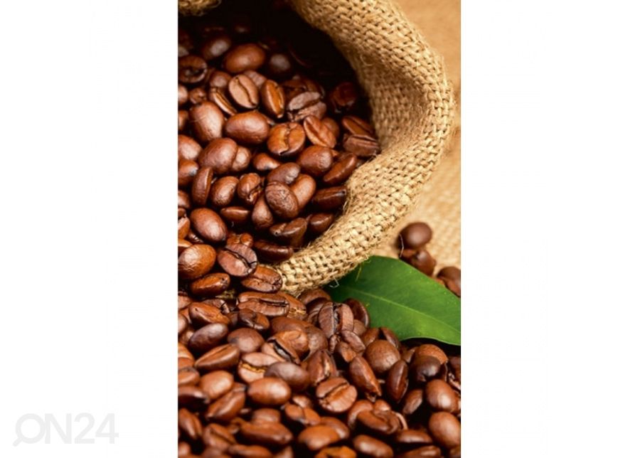 Non-woven kuvatapetti Coffee beans 375x250 cm kuvasuurennos