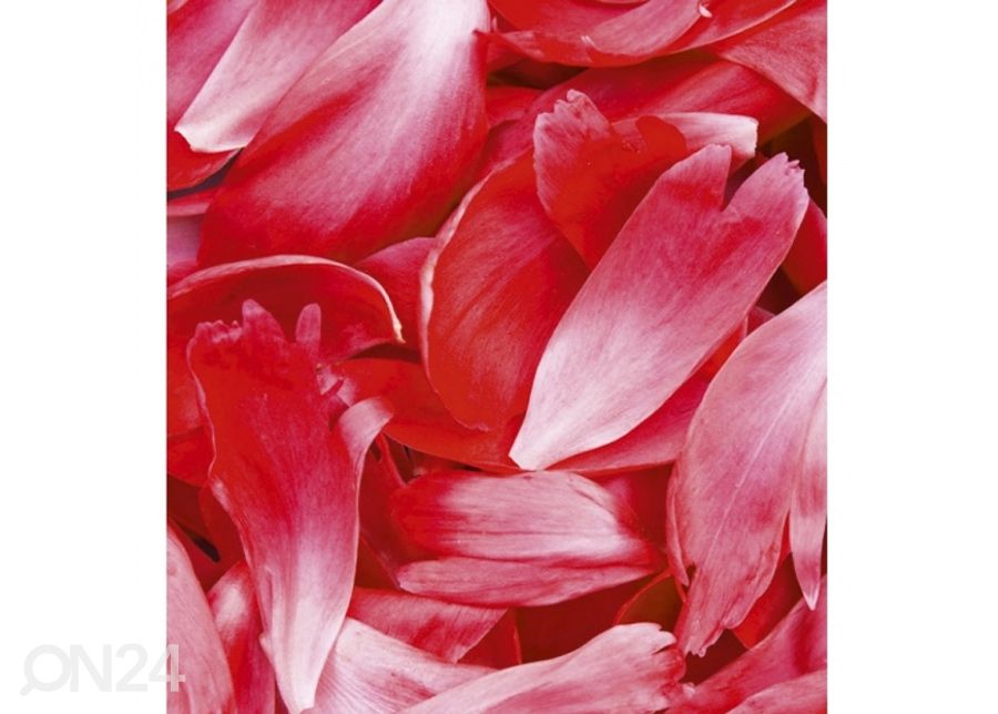 Non-woven kuvatapetti Red petals 225x250 cm kuvasuurennos