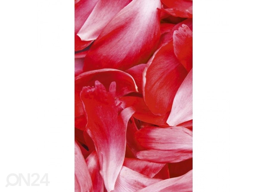 Non-woven kuvatapetti Red petals 225x250 cm kuvasuurennos