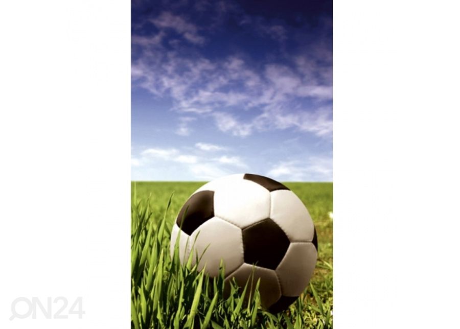 Non-woven kuvatapetti Soccer ball 150x250 cm kuvasuurennos