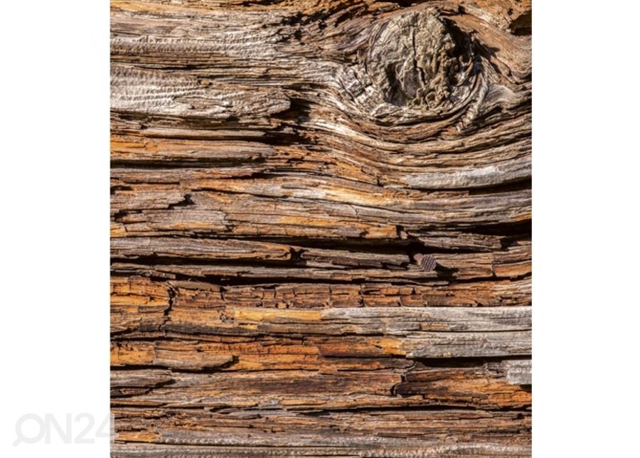 Non-woven kuvatapetti Tree bark 150x250 cm kuvasuurennos
