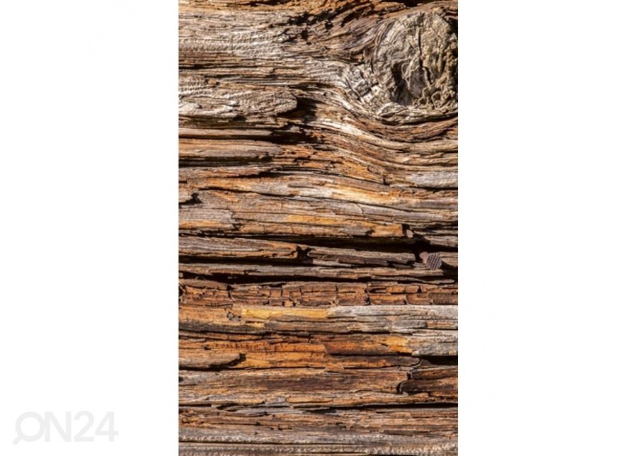 Non-woven kuvatapetti Tree bark 150x250 cm kuvasuurennos