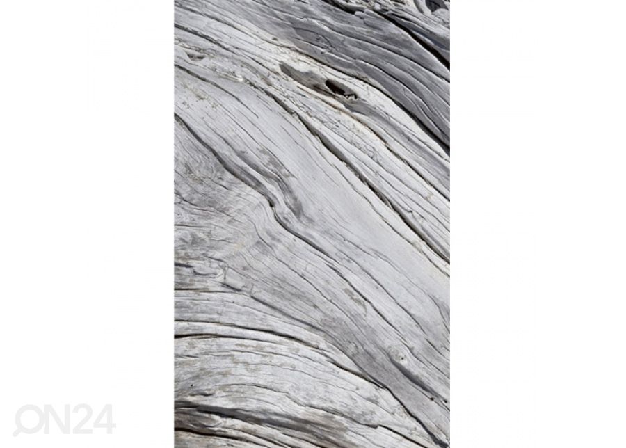 Non-woven kuvatapetti Tree texture 150x250 cm kuvasuurennos