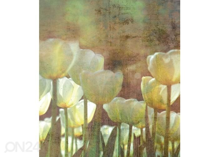 Non-woven kuvatapetti White Tulips Abstract 150x250 cm kuvasuurennos