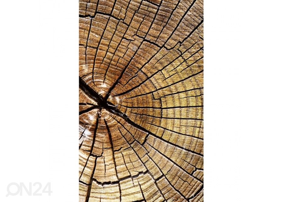 Non-woven kuvatapetti Wood 150x250 cm kuvasuurennos