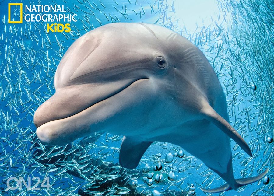 Palapeli 3D Delfiini 63 osaa kuvasuurennos