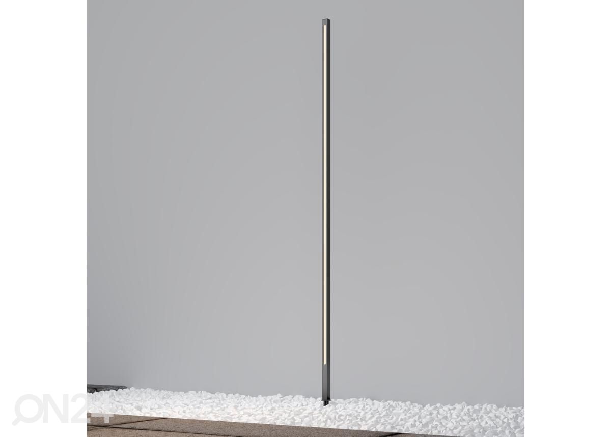 Pollarivalaisin Pole, 160 cm kuvasuurennos