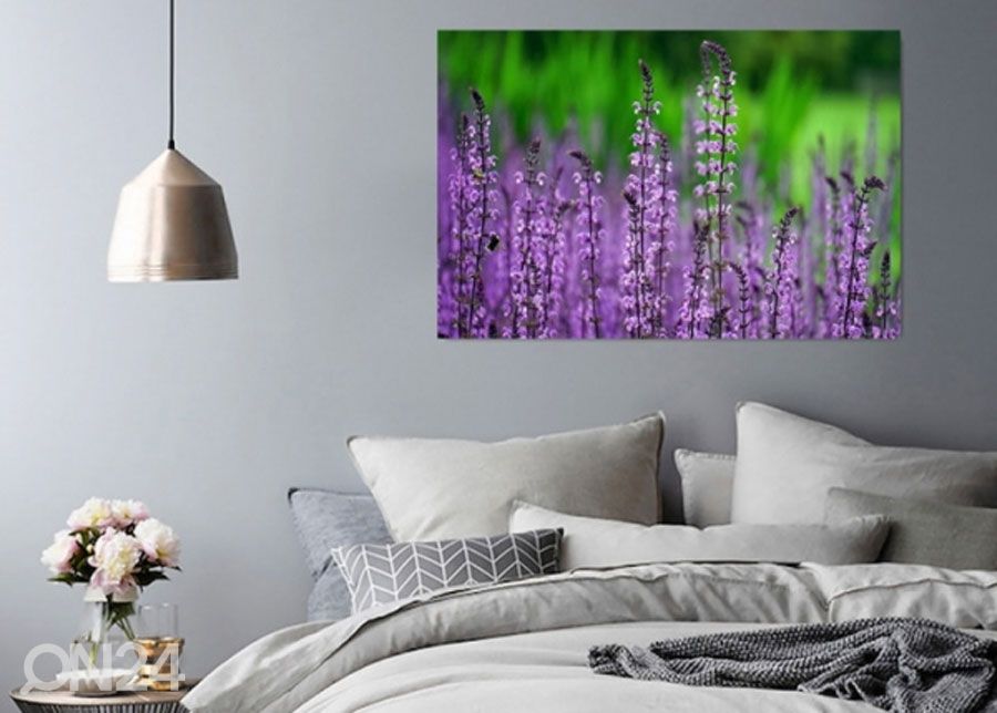 Taulu Blooming lavender 60x80 cm kuvasuurennos