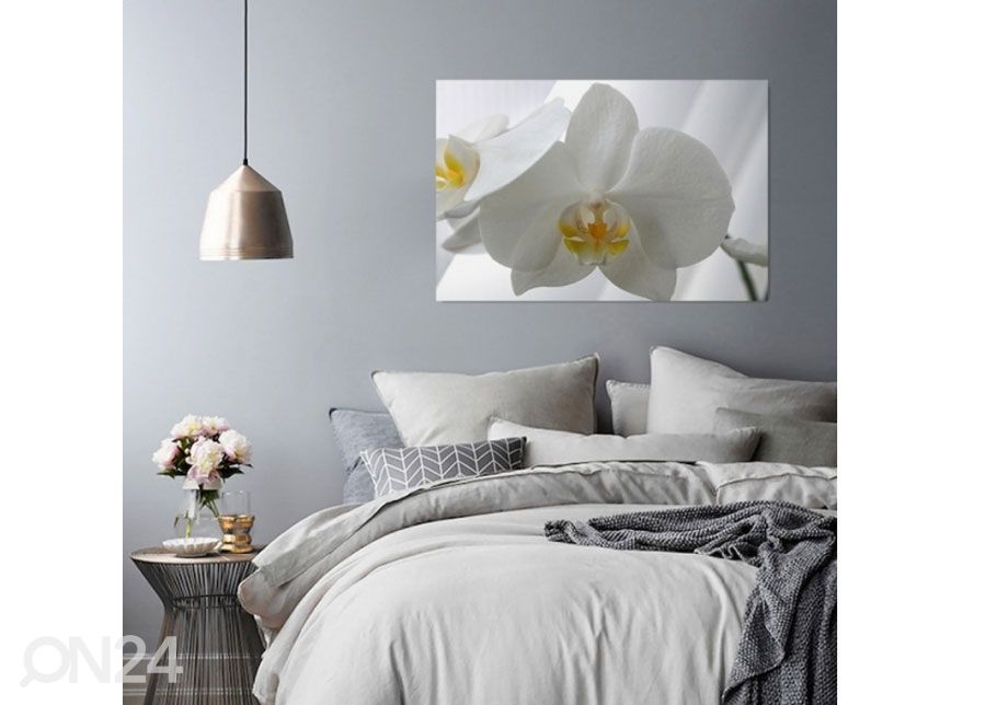 Taulu White orchids 30x40 cm kuvasuurennos