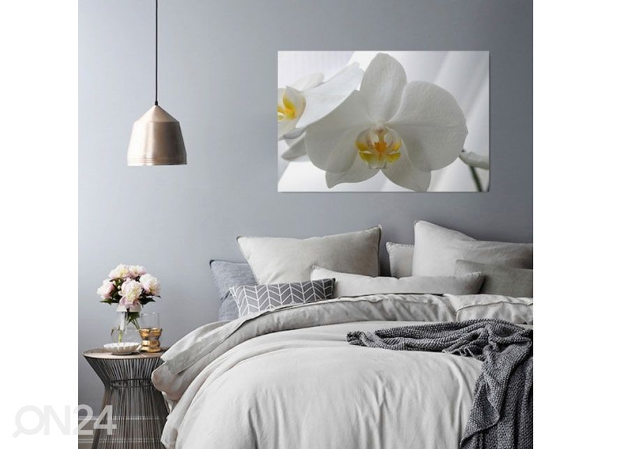 Taulu White orchids 70x100 cm kuvasuurennos