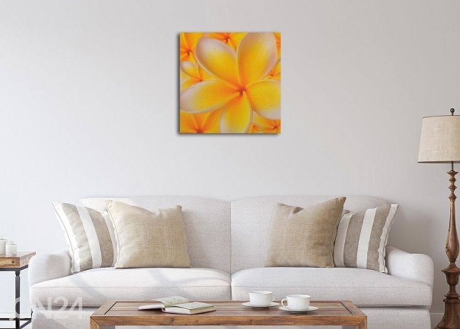 TauluFrangipani flower 3D 30x30 cm kuvasuurennos