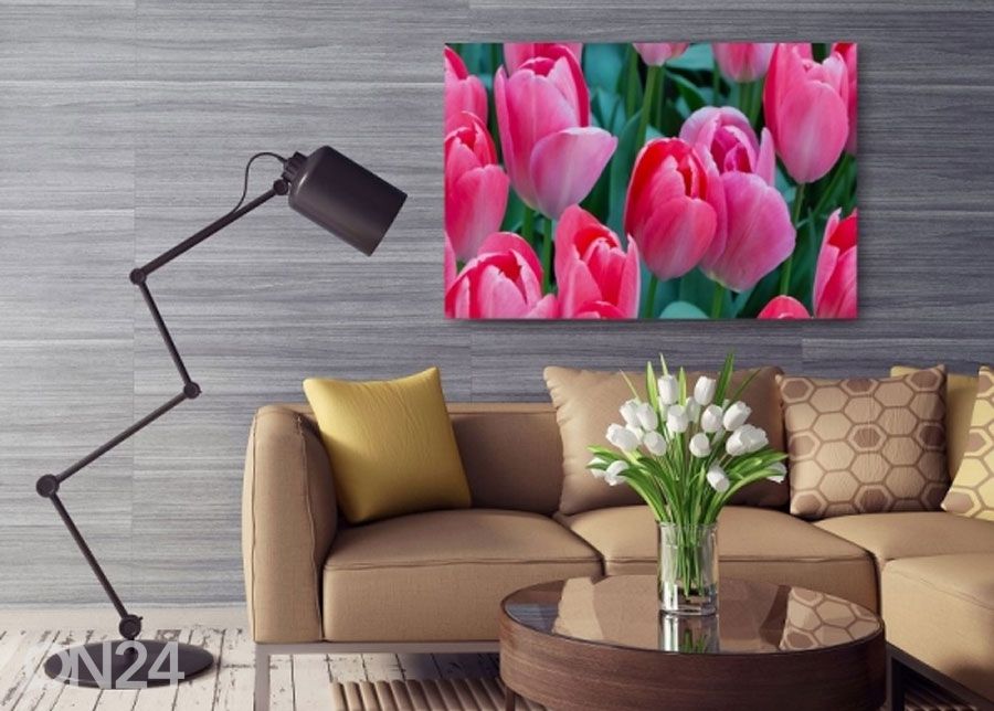 TauluPink tulips 50x70 cm kuvasuurennos