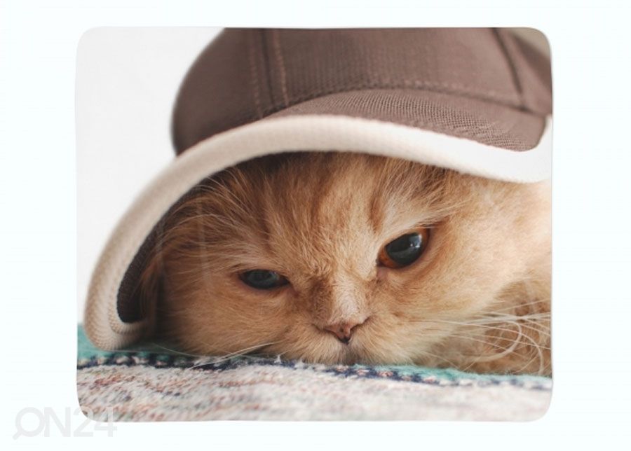 Torkkupeitto Cat in the Hat 130x150 cm kuvasuurennos