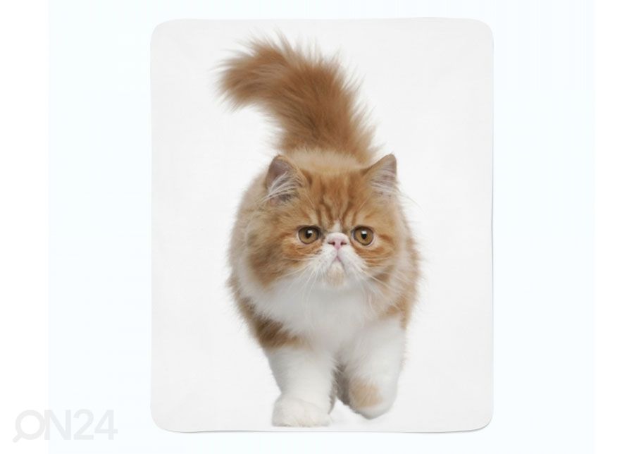 Torkkupeitto Fluffy Cat 130x150 cm kuvasuurennos