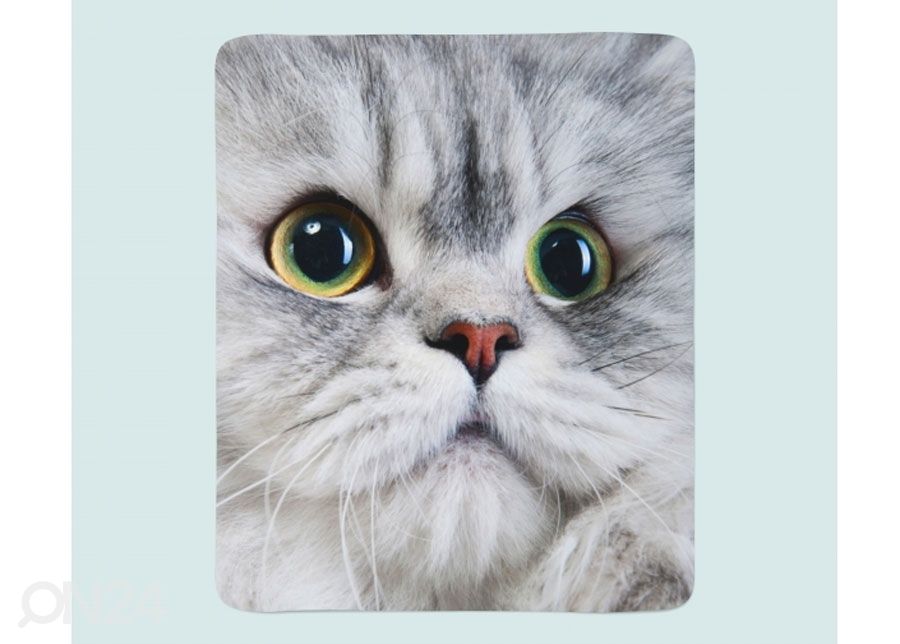 Torkkupeitto Gray Cat 130x150 cm kuvasuurennos