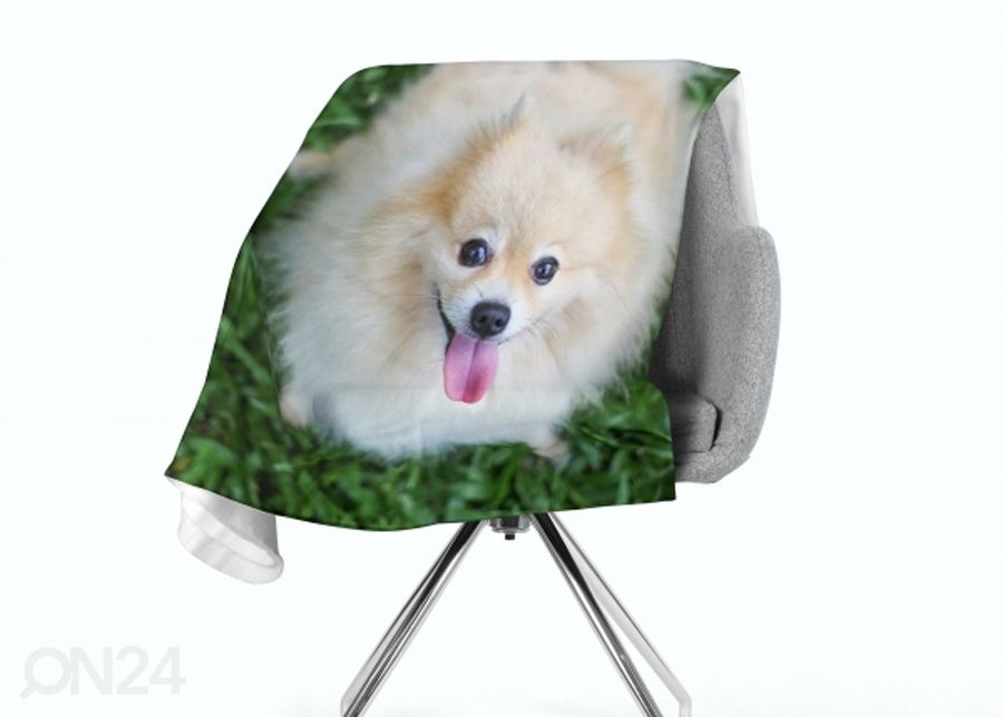 Torkkupeitto Happy Pomeranian Dog 130x150 cm kuvasuurennos