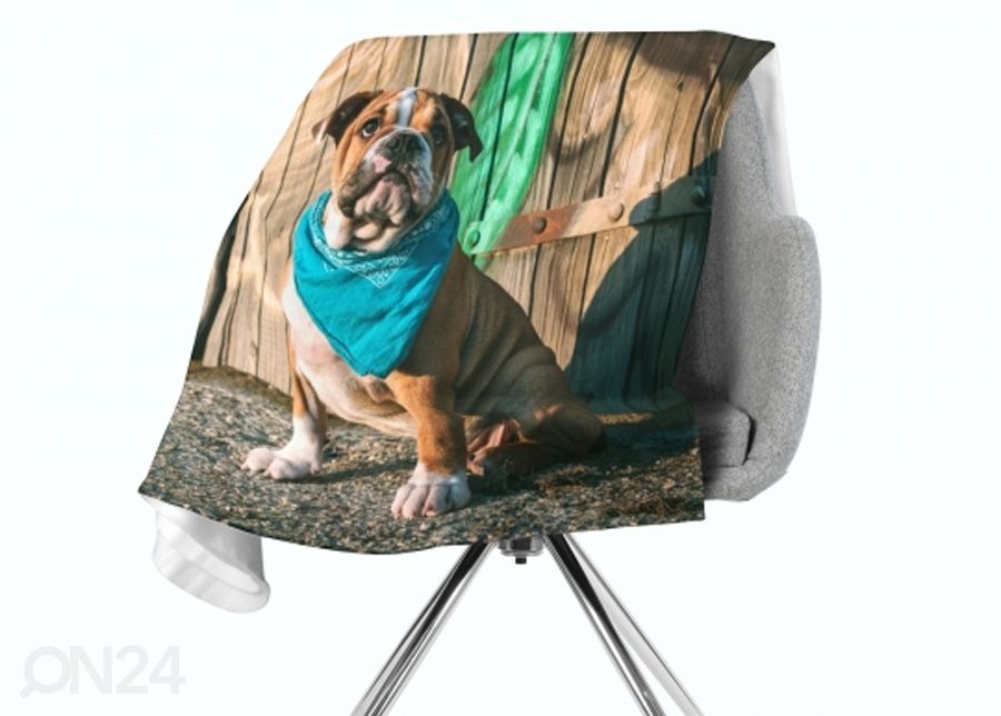 Torkkupeitto Stylish English Bulldog Puppy 130x150 cm kuvasuurennos