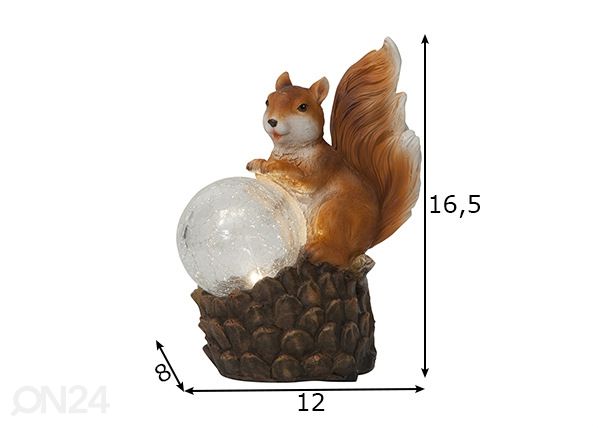 Aurinkokennovalaisin Squirrel mitat