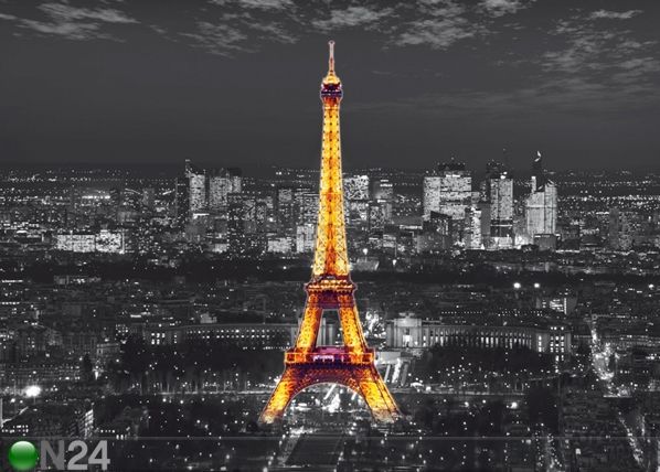 Fleece kuvatapetti NIGHT IN PARIS 360x270 cm