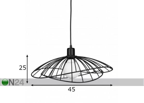 Kattovalaisin Ray mitat