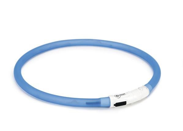 Koiran LED+USB kaulapanta sininen