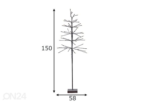 Koristepuu Snowfrost tree mitat