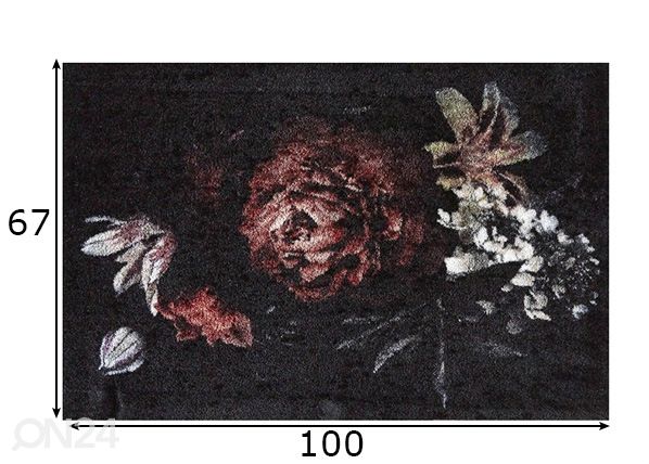 Kynnysmatto Bella Rosa 67x100 cm mitat